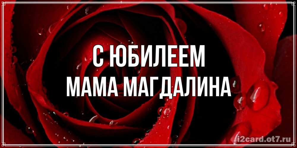 Открытка на каждый день с именем, Мама-Магдалина С юбилеем крупная бордовая роза Прикольная открытка с пожеланием онлайн скачать бесплатно 