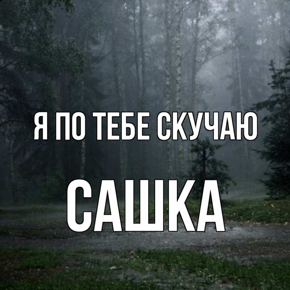Картинка Я по тебе скучаю, Сашка