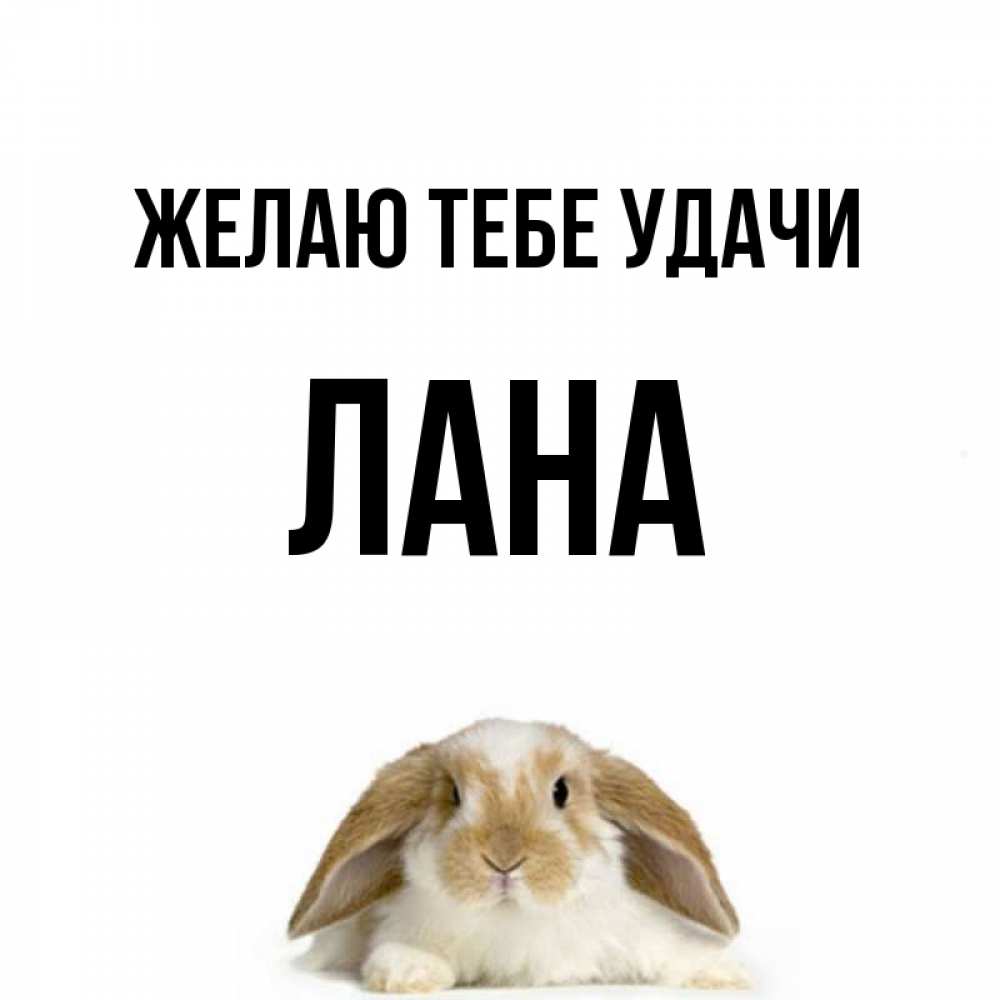 Лан имя