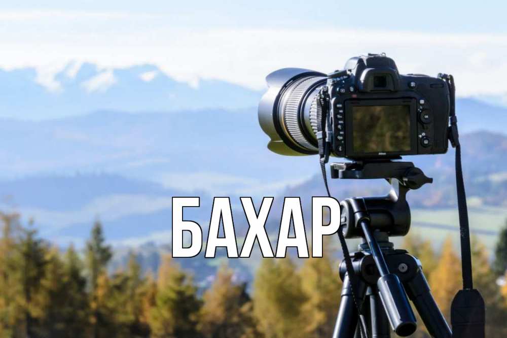 Открытка на каждый день с именем, Бахар Главная с днем фотографа Прикольная открытка с пожеланием онлайн скачать бесплатно 