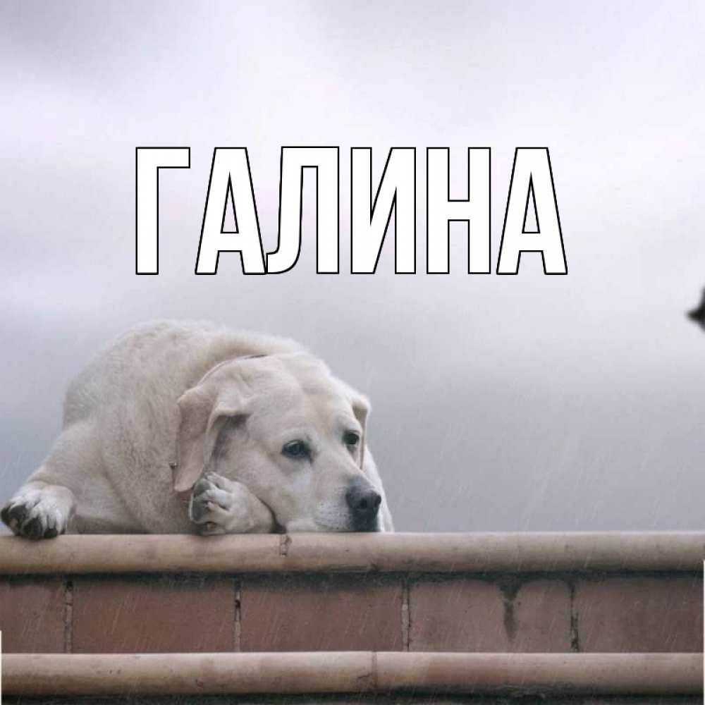 Открытка с именем, Галина, 