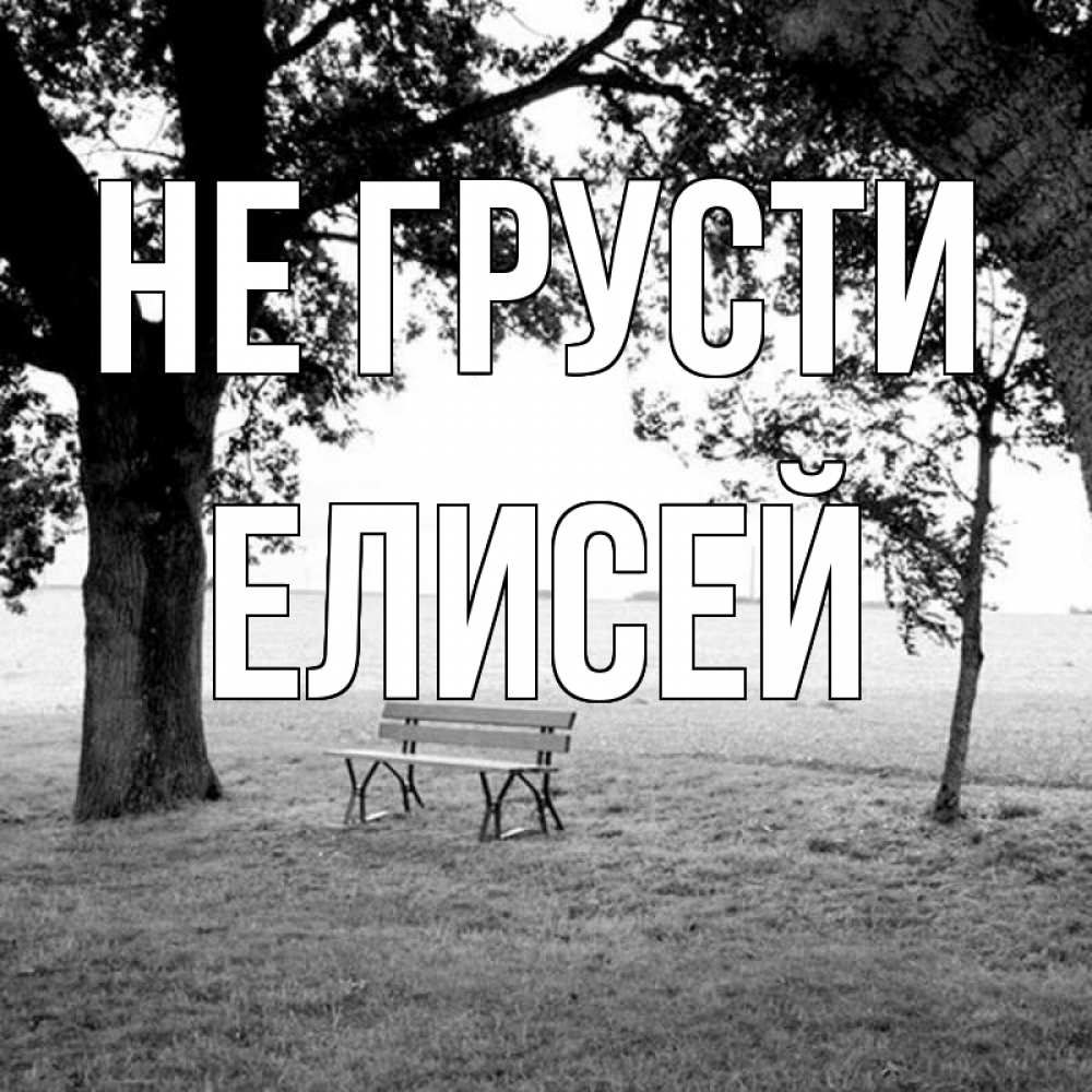 Открытка на каждый день с именем, Елисей Не грусти мощное дерево Прикольная открытка с пожеланием онлайн скачать бесплатно 