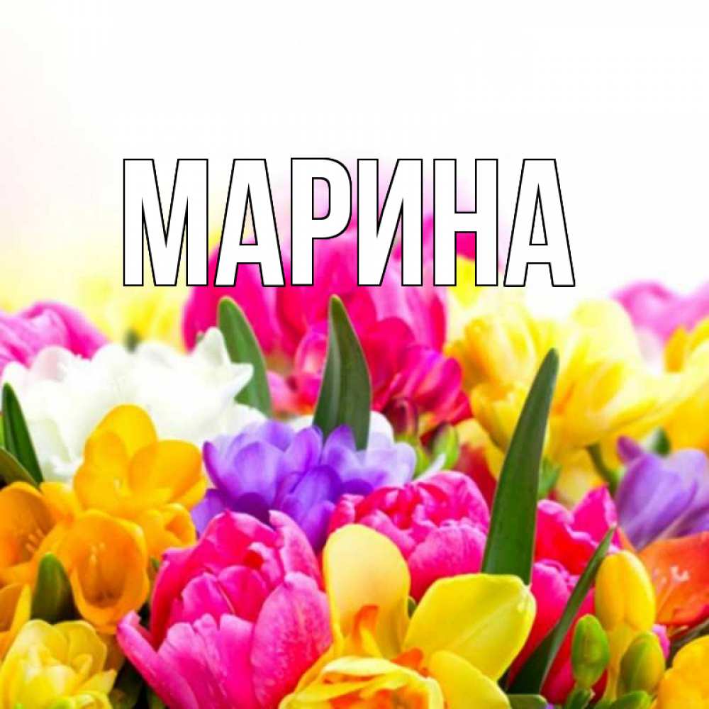 Открытка на каждый день с именем, Марина Главная тюльпаны Прикольная открытка с пожеланием онлайн скачать бесплатно 