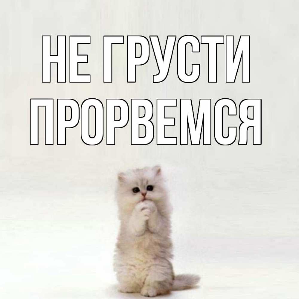 Открытка на каждый день с именем, Прорвемся Не грусти грустный кот Прикольная открытка с пожеланием онлайн скачать бесплатно 