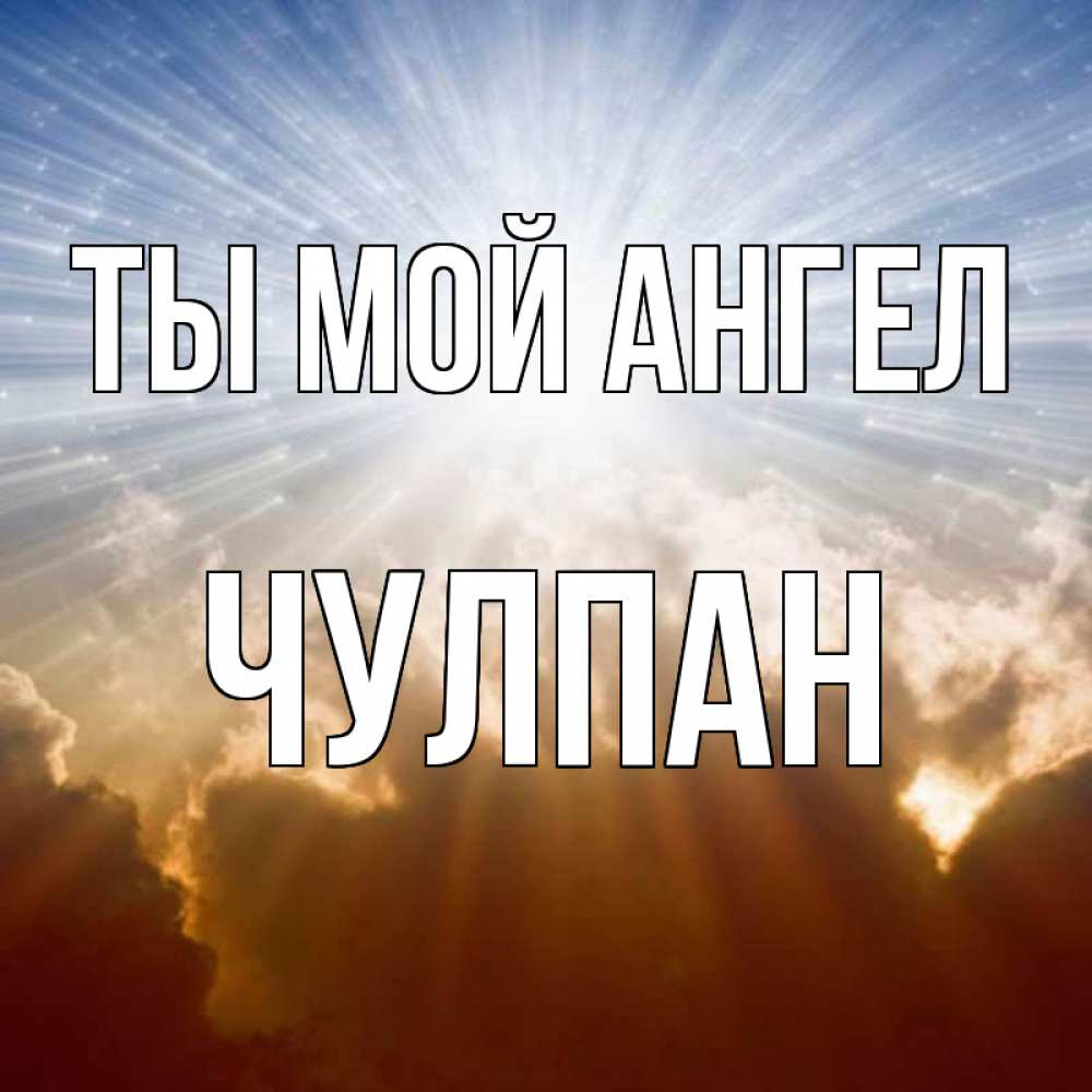 Собаку картинке, имя чулпан открытки