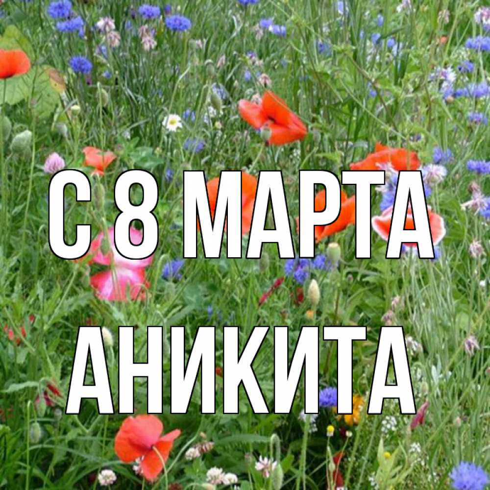 Открытка на каждый день с именем, Аникита С 8 марта международный женский день 4 Прикольная открытка с пожеланием онлайн скачать бесплатно 