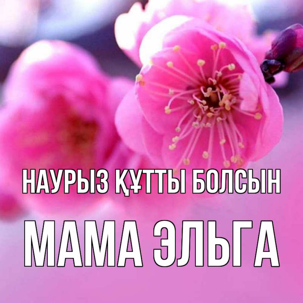Открытка на каждый день с именем, Мама-Эльга Наурыз құтты болсын наурыз мейрам Прикольная открытка с пожеланием онлайн скачать бесплатно 