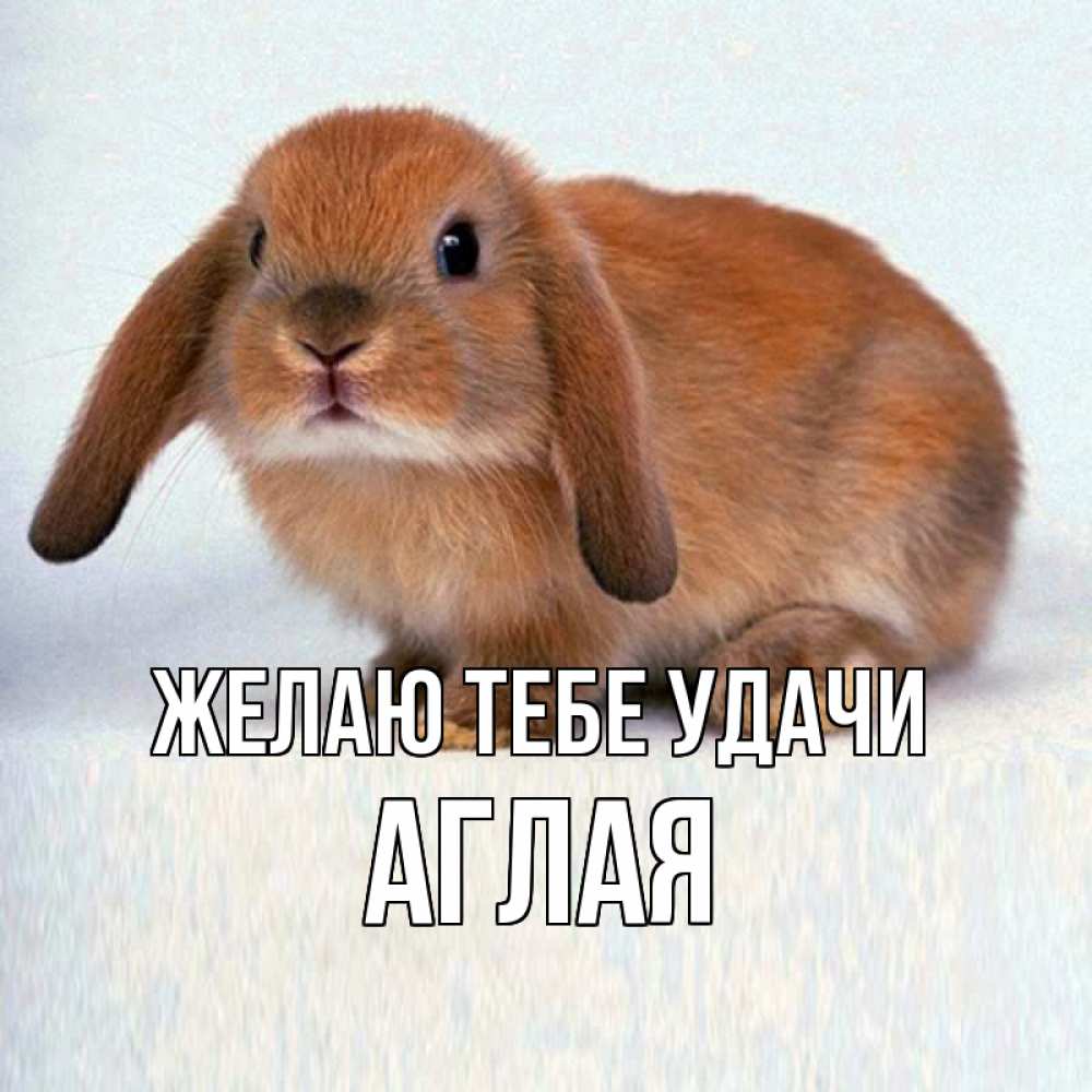Открытка на каждый день с именем, Аглая Желаю тебе удачи вставить текст в открытку по выбору Прикольная открытка с пожеланием онлайн скачать бесплатно 