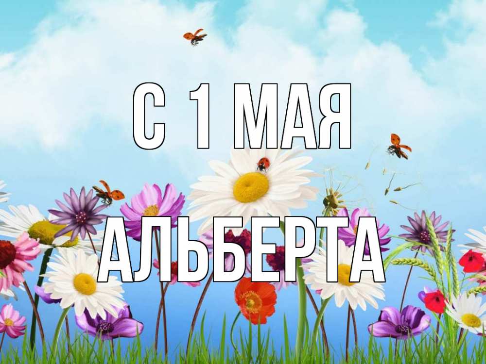 Открытка на каждый день с именем, Альберта С 1 мая С 1 мая Прикольная открытка с пожеланием онлайн скачать бесплатно 