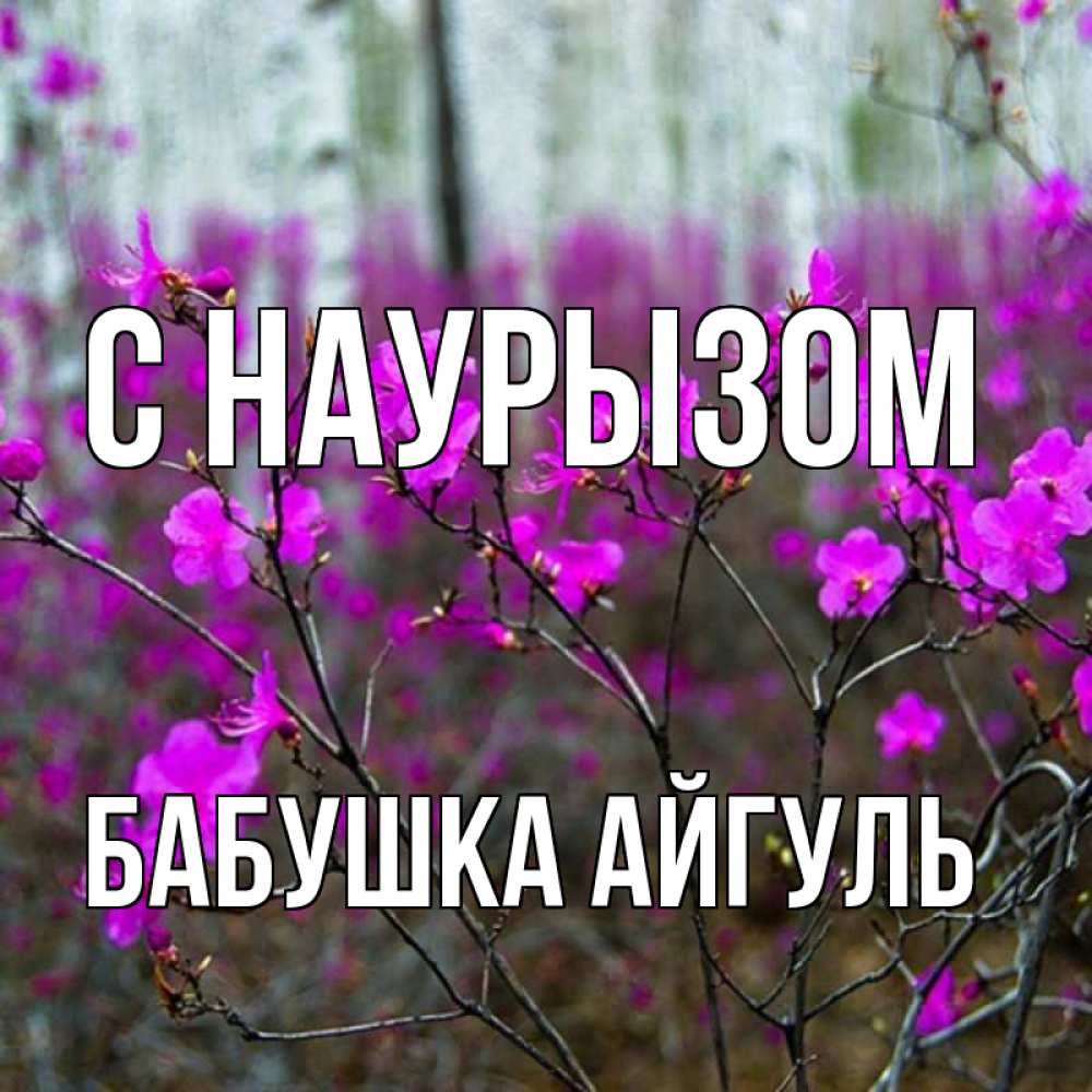 Открытка на каждый день с именем, Бабушка-Айгуль С наурызом дикие цветы Прикольная открытка с пожеланием онлайн скачать бесплатно 