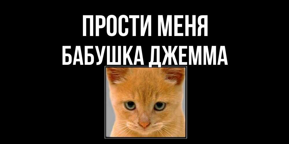 Открытка на каждый день с именем, Бабушка-Джемма Прости меня рыжий грустный кот просит прощения Прикольная открытка с пожеланием онлайн скачать бесплатно 
