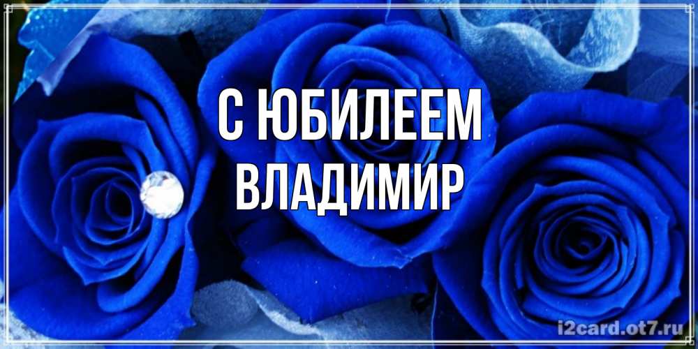 Открытка на каждый день с именем, Владимир С юбилеем синие розы в росе Прикольная открытка с пожеланием онлайн скачать бесплатно 