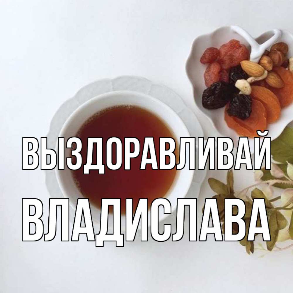 Открытка на каждый день с именем, Владислава Выздоравливай неизвестные растения Прикольная открытка с пожеланием онлайн скачать бесплатно 