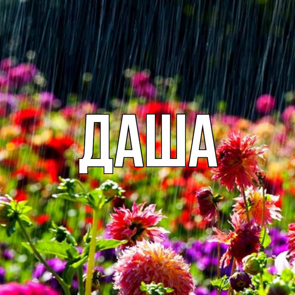 Открытка на каждый день с именем, Даша Главная цветы под дождиком к наурызу Прикольная открытка с пожеланием онлайн скачать бесплатно 