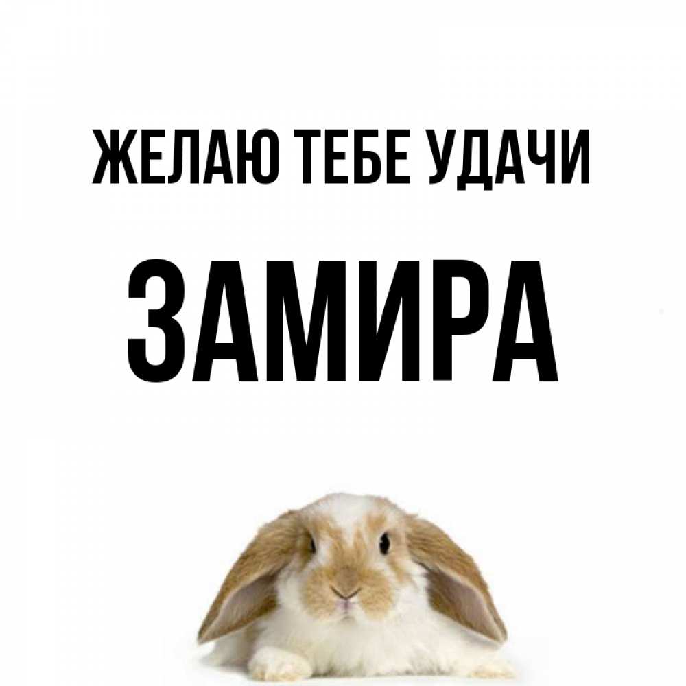 Открытка на каждый день с именем, Замира Желаю тебе удачи открытки с произвольным текстом который можно вставить в открытку и создать ее самостоятельно бесплатно онлайн Прикольная открытка с пожеланием онлайн скачать бесплатно 