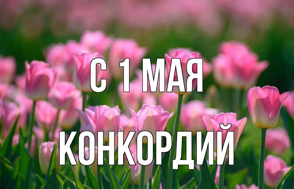 Открытка на каждый день с именем, Конкордий С 1 мая С 1 мая Прикольная открытка с пожеланием онлайн скачать бесплатно 