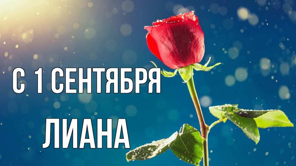 Открытка на каждый день с именем, Лиана С 1 сентября с днем знаний Прикольная открытка с пожеланием онлайн скачать бесплатно 