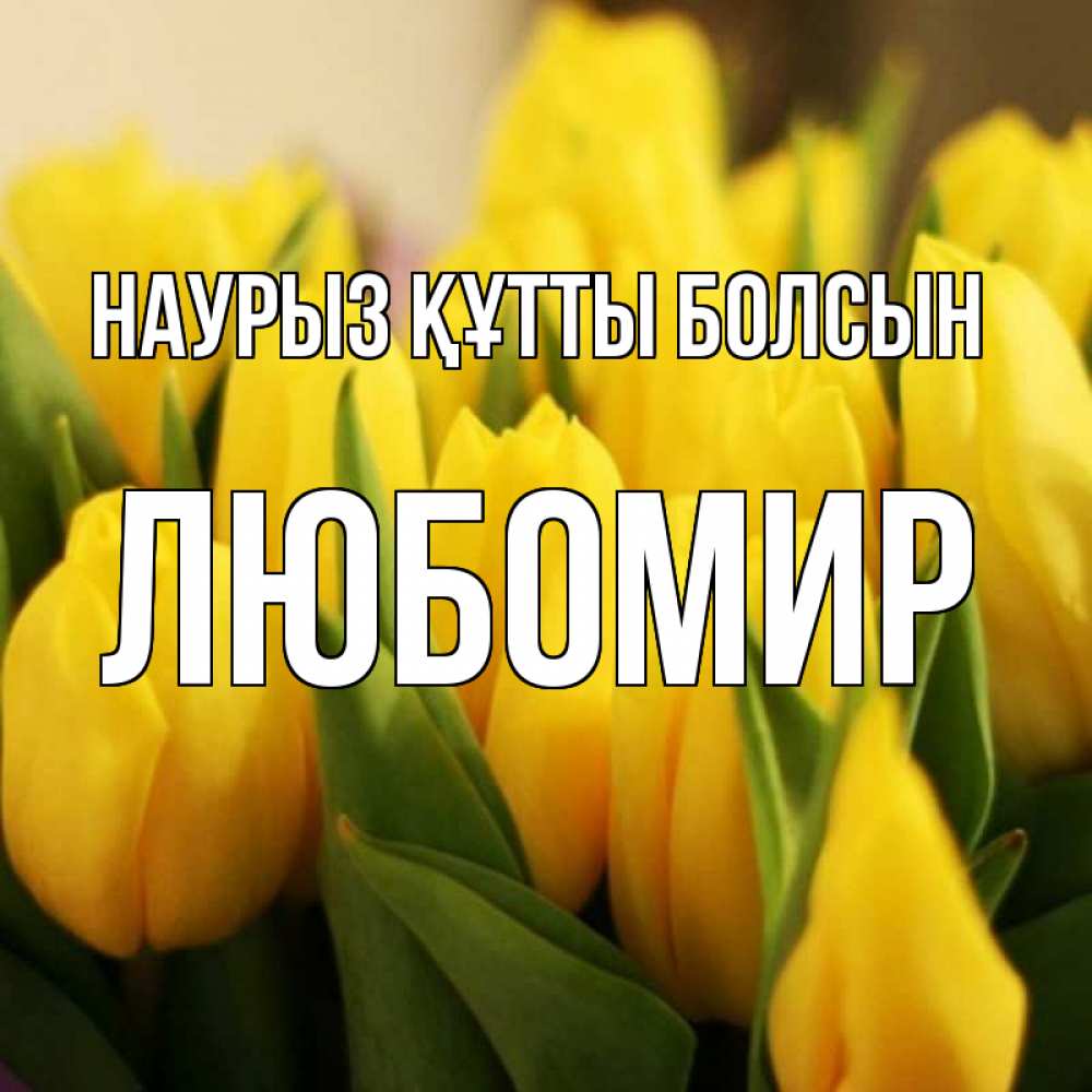 Открытка на каждый день с именем, Любомир Наурыз құтты болсын цветы Прикольная открытка с пожеланием онлайн скачать бесплатно 