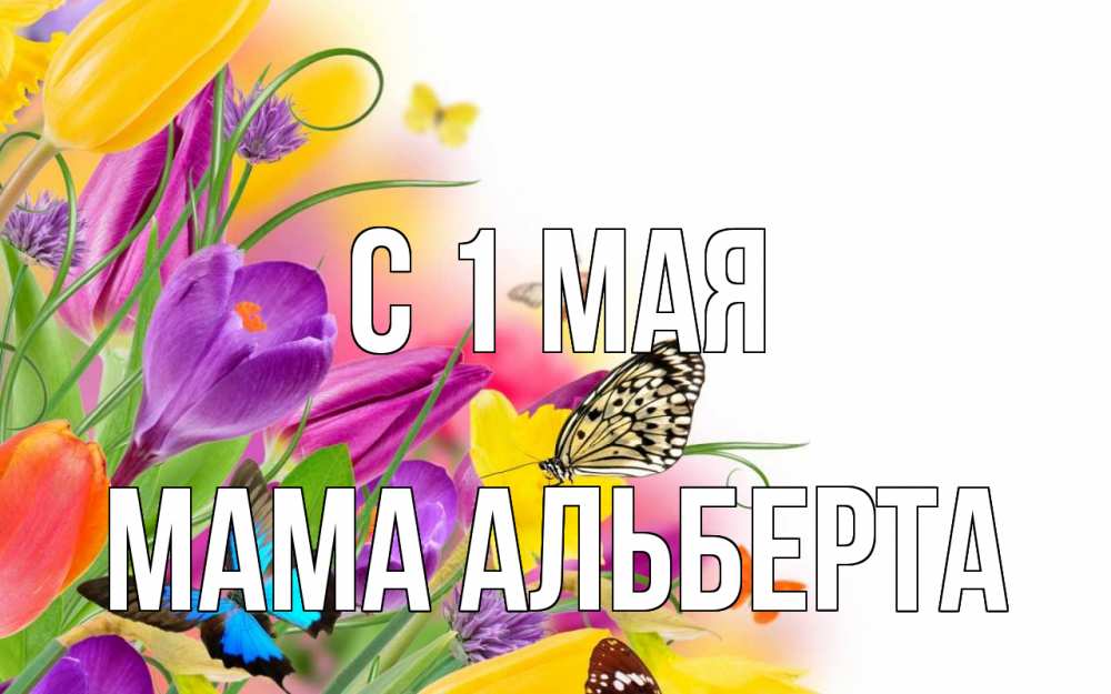 Открытка на каждый день с именем, Мама-Альберта С 1 мая С 1 мая Прикольная открытка с пожеланием онлайн скачать бесплатно 