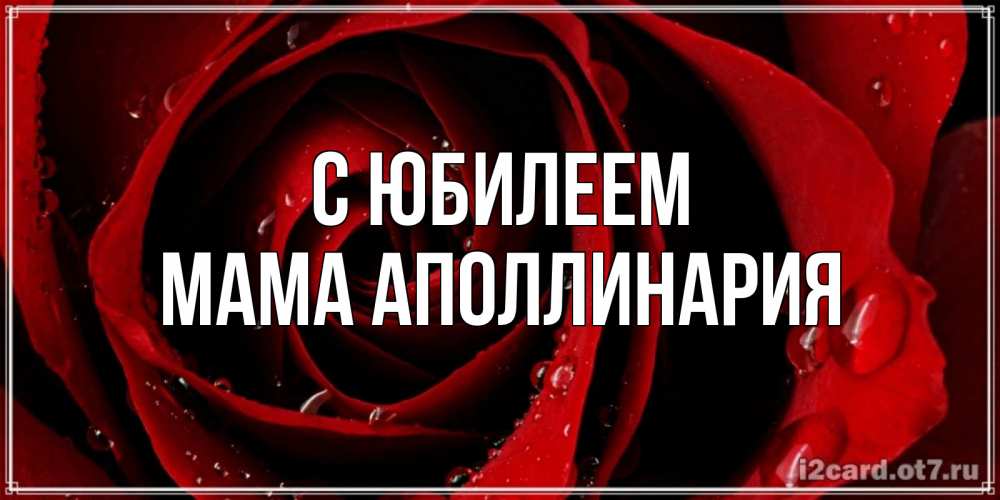 Открытка на каждый день с именем, Мама-Аполлинария С юбилеем крупная бордовая роза Прикольная открытка с пожеланием онлайн скачать бесплатно 