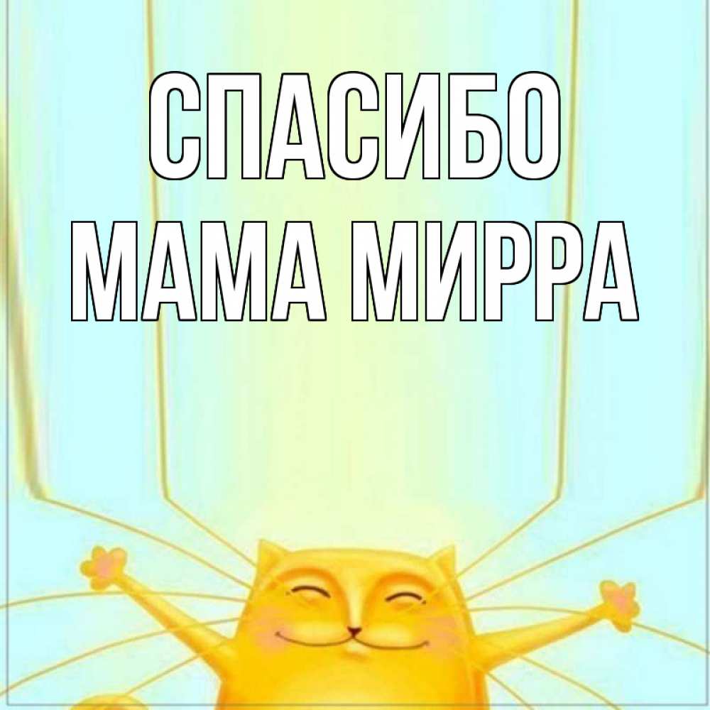 Открытка на каждый день с именем, Мама-Мирра Спасибо кот с усами благодарит Прикольная открытка с пожеланием онлайн скачать бесплатно 