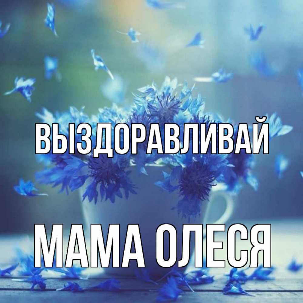 Открытка на каждый день с именем, Мама-Олеся Выздоравливай кружка с зельем и цветами Прикольная открытка с пожеланием онлайн скачать бесплатно 