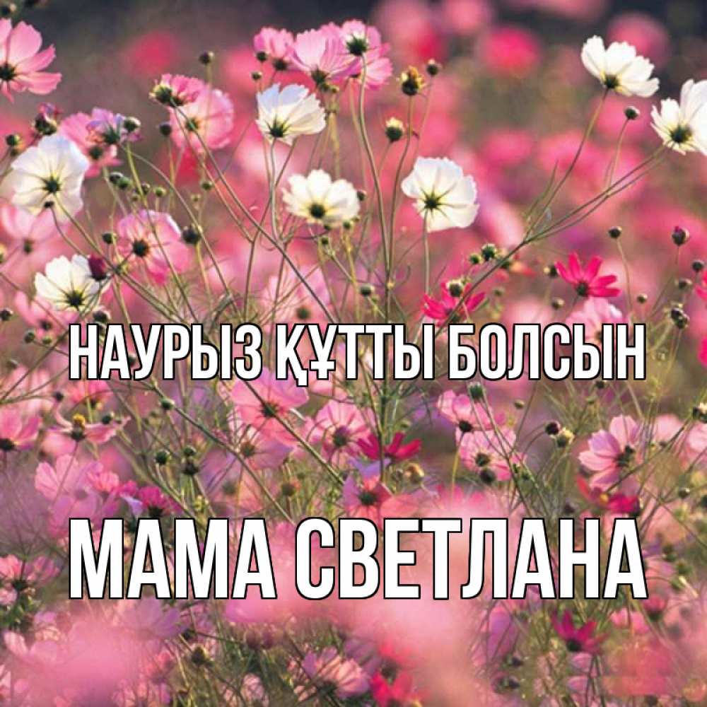 Открытка на каждый день с именем, Мама-Светлана Наурыз құтты болсын красиво 1 Прикольная открытка с пожеланием онлайн скачать бесплатно 