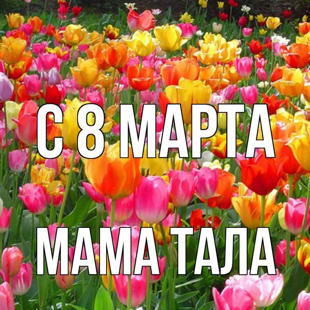 Открытка на каждый день с именем, Мама-Тала С 8 МАРТА на международный женский день Прикольная открытка с пожеланием онлайн скачать бесплатно 