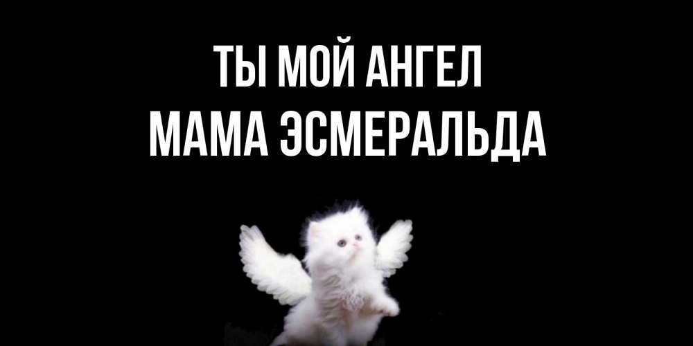 Открытка на каждый день с именем, Мама-Эсмеральда Ты мой ангел Кот ангел Прикольная открытка с пожеланием онлайн скачать бесплатно 