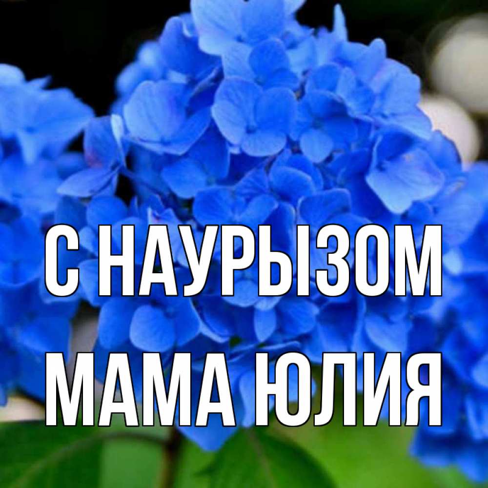 Открытка на каждый день с именем, Мама-Юлия С наурызом синие цветы Прикольная открытка с пожеланием онлайн скачать бесплатно 