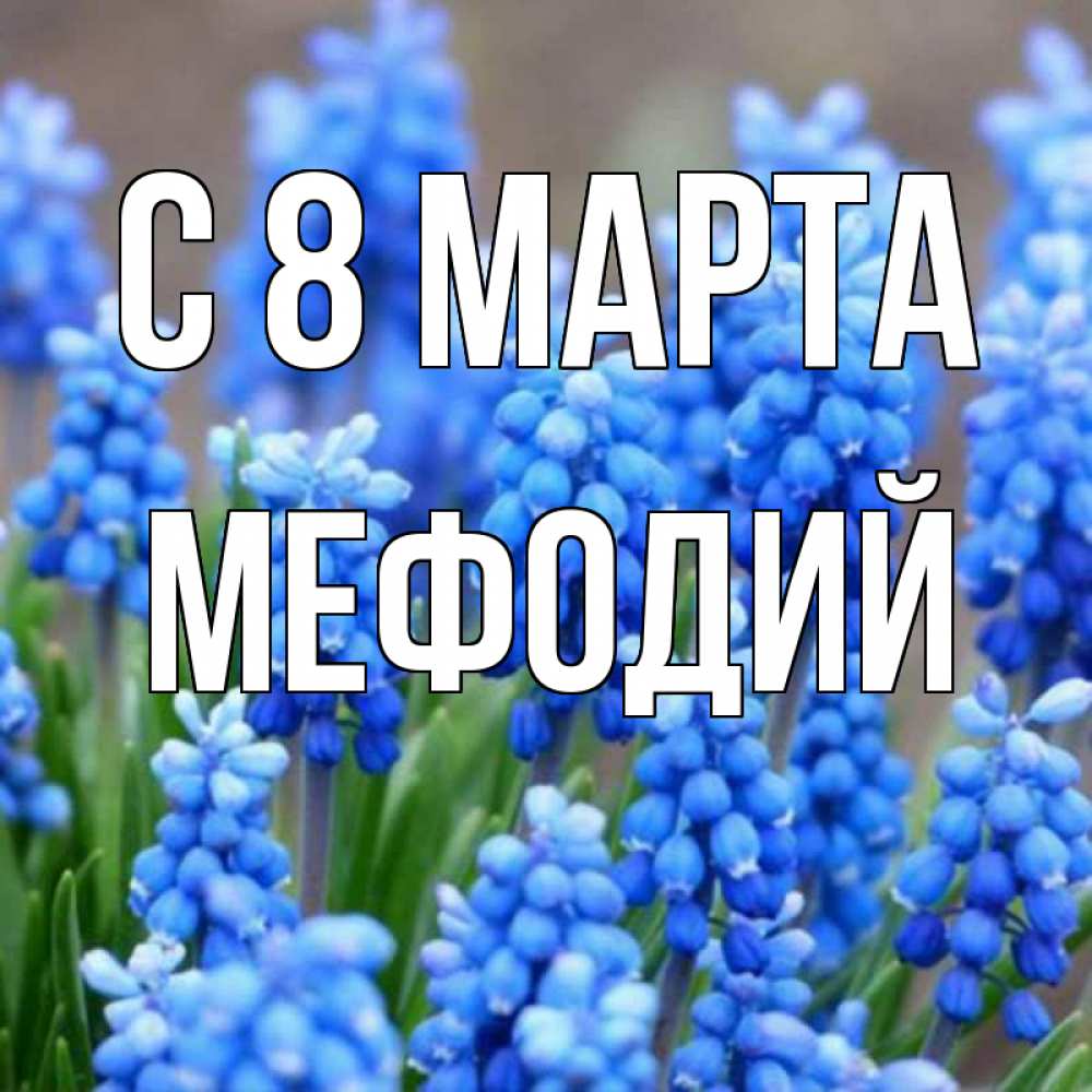 Открытка на каждый день с именем, Мефодий С 8 МАРТА Поздравительная открытка для женщин с цветами на праздничную дату Прикольная открытка с пожеланием онлайн скачать бесплатно 