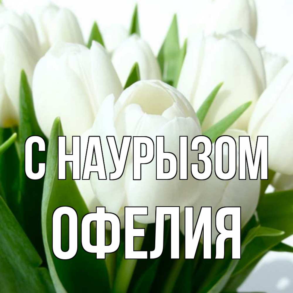 Открытка на каждый день с именем, Офелия С наурызом цветы Прикольная открытка с пожеланием онлайн скачать бесплатно 