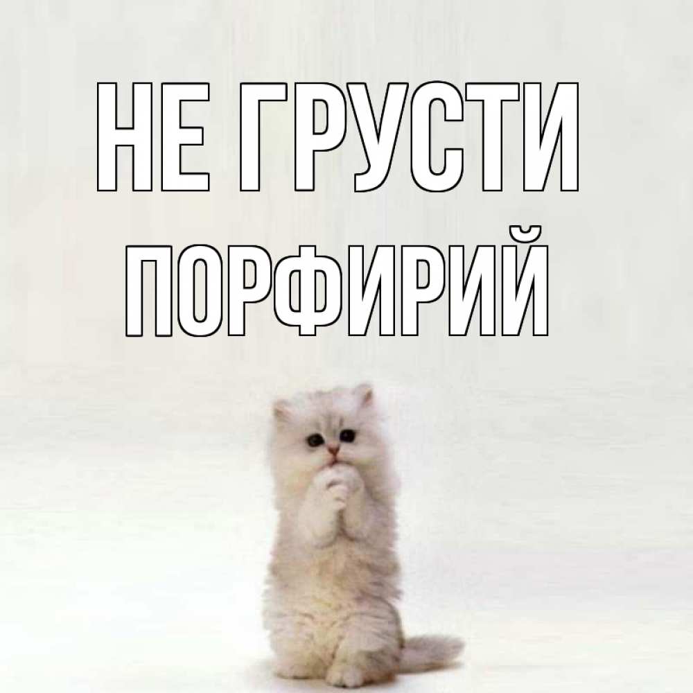 Открытка на каждый день с именем, Порфирий Не грусти грустный кот Прикольная открытка с пожеланием онлайн скачать бесплатно 