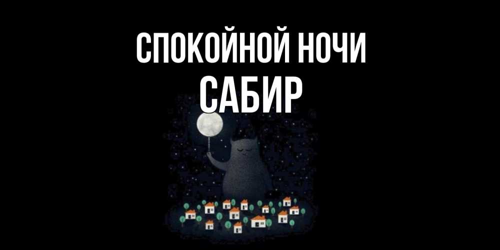 Открытка на каждый день с именем, Сабир Спокойной ночи кот,луна, ночь, звезды Прикольная открытка с пожеланием онлайн скачать бесплатно 
