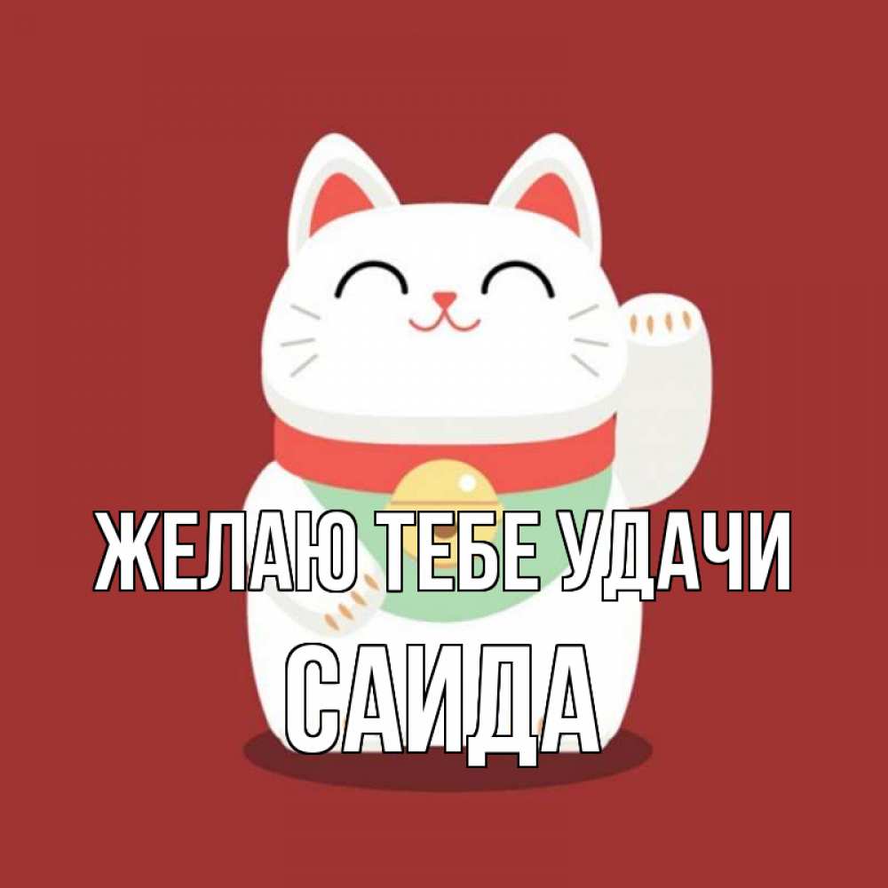 Открытка на каждый день с именем, Саида Желаю тебе удачи игрушка Прикольная открытка с пожеланием онлайн скачать бесплатно 