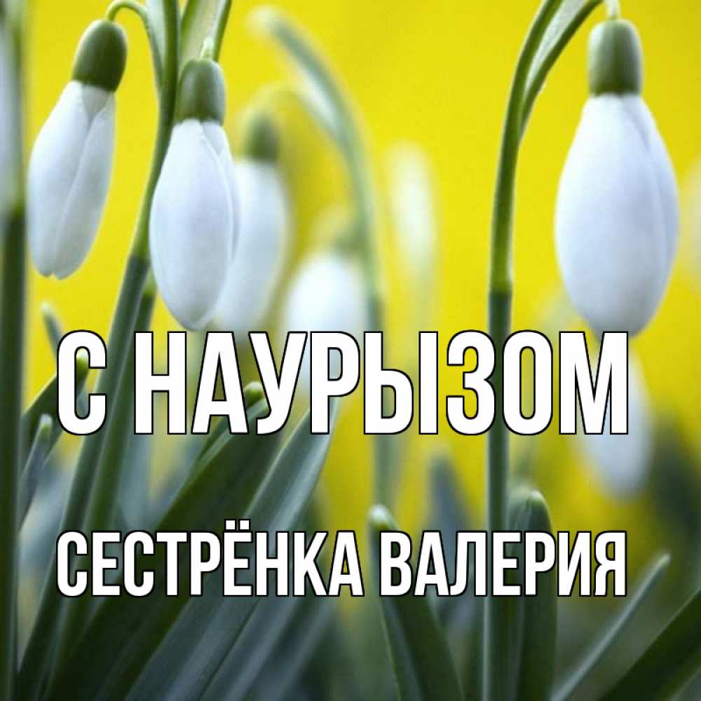 Открытка на каждый день с именем, Сестрёнка-Валерия С наурызом весенние цветы Прикольная открытка с пожеланием онлайн скачать бесплатно 