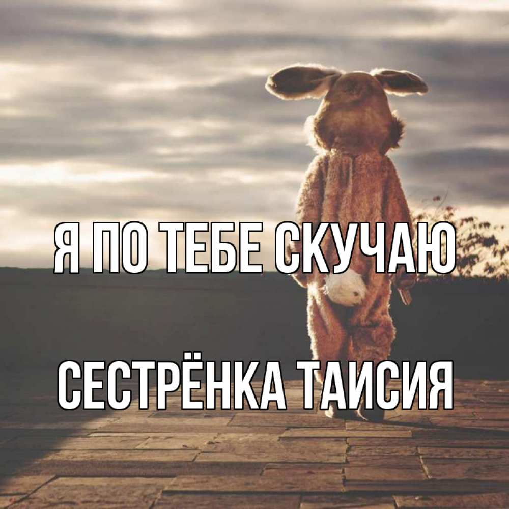 Открытка на каждый день с именем, Сестрёнка-Таисия Я по тебе скучаю даже в костюме зайца Прикольная открытка с пожеланием онлайн скачать бесплатно 