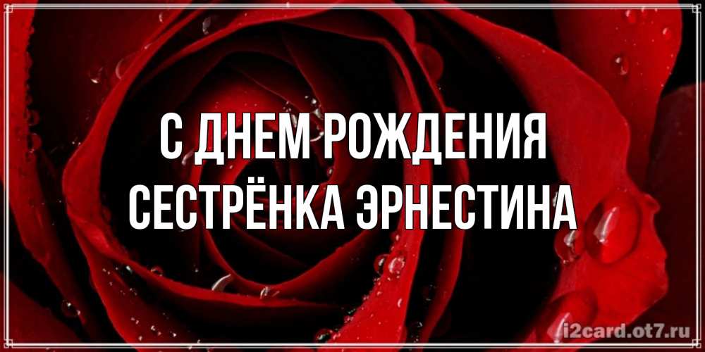 Открытка на каждый день с именем, Сестрёнка-Эрнестина С днем рождения крупная бордовая роза Прикольная открытка с пожеланием онлайн скачать бесплатно 
