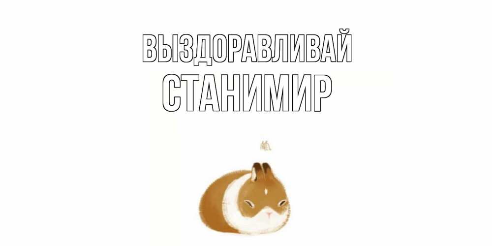 Открытка на каждый день с именем, Станимир Выздоравливай морская свинка на открытке с пожеланиями не болеть Прикольная открытка с пожеланием онлайн скачать бесплатно 