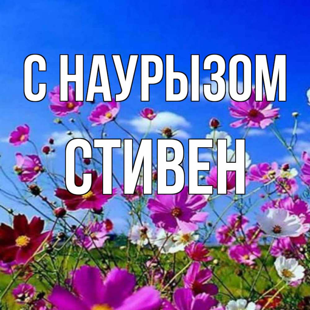 Открытка на каждый день с именем, Стивен С наурызом цветы Прикольная открытка с пожеланием онлайн скачать бесплатно 