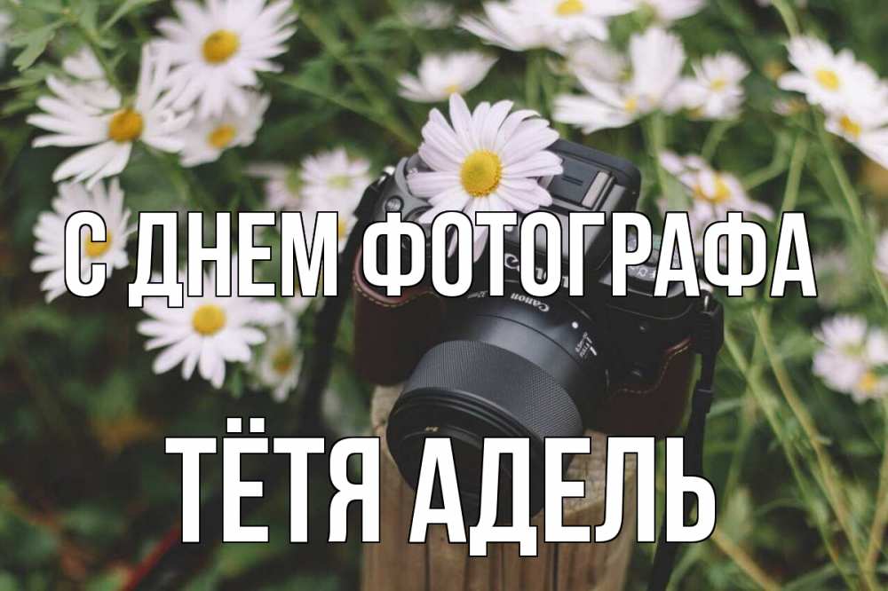 Открытка на каждый день с именем, Тётя-Адель С днем фотографа с днем фотографа Прикольная открытка с пожеланием онлайн скачать бесплатно 