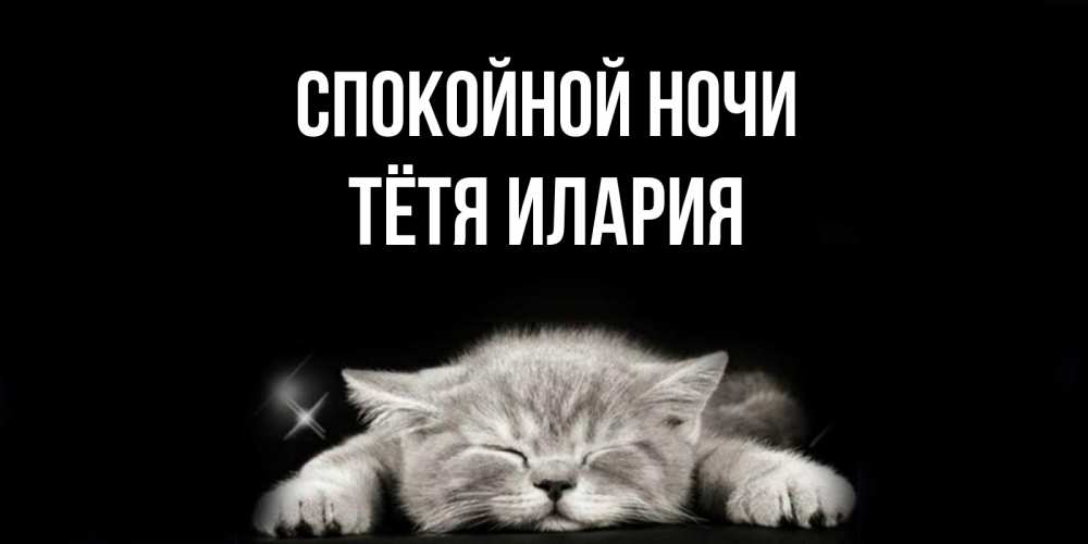 Открытка на каждый день с именем, Тётя-Илария Спокойной ночи спящий котик Прикольная открытка с пожеланием онлайн скачать бесплатно 