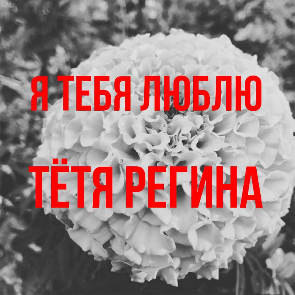 Открытка на каждый день с именем, Тётя-Регина Я тебя люблю подпись Прикольная открытка с пожеланием онлайн скачать бесплатно 