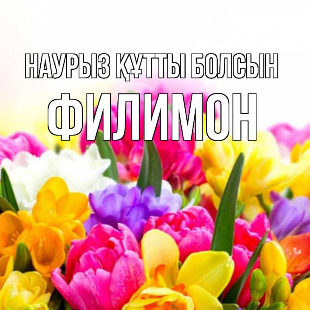 Открытка на каждый день с именем, Филимон Наурыз құтты болсын тюльпаны Прикольная открытка с пожеланием онлайн скачать бесплатно 