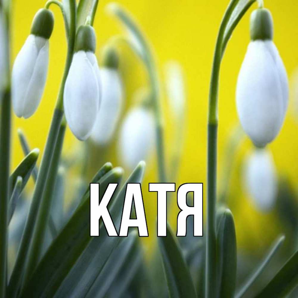 Открытка на каждый день с именем, Катя Главная весенние цветы Прикольная открытка с пожеланием онлайн скачать бесплатно 
