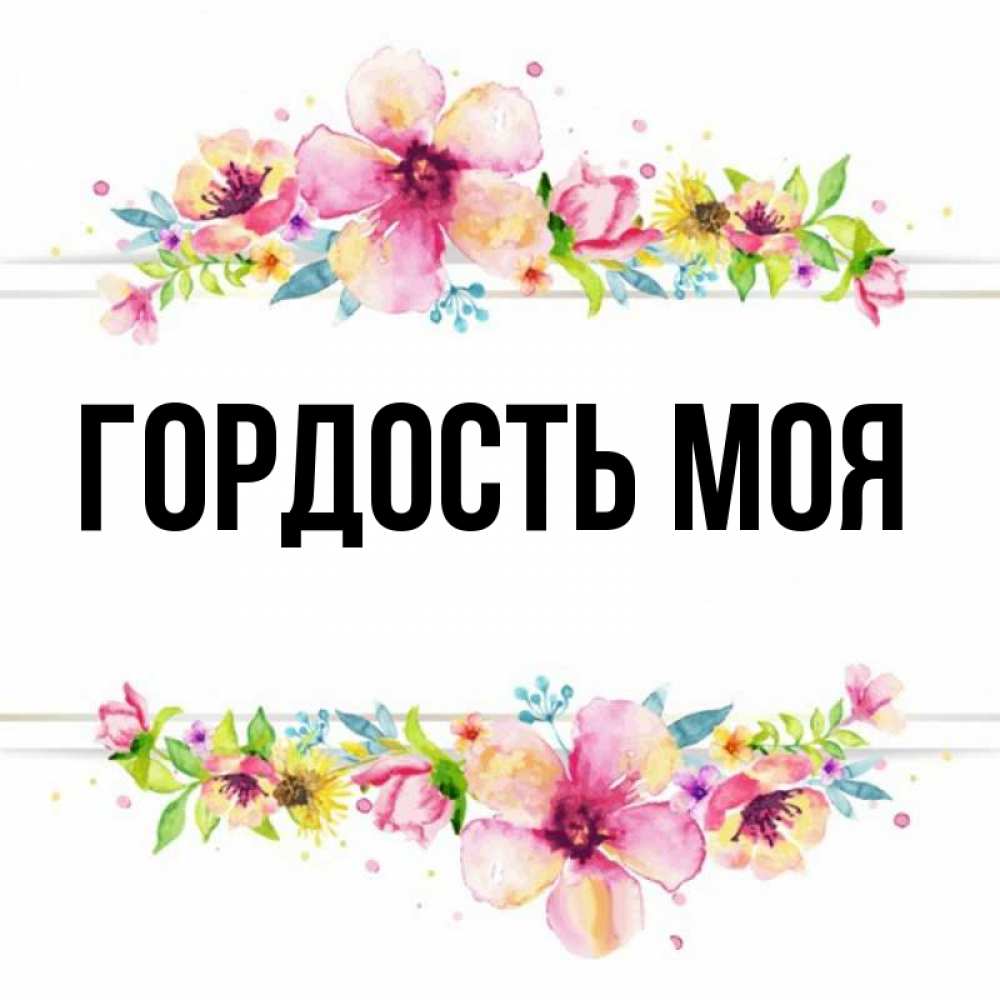 Гордыня имя. Моя гордость картинки.