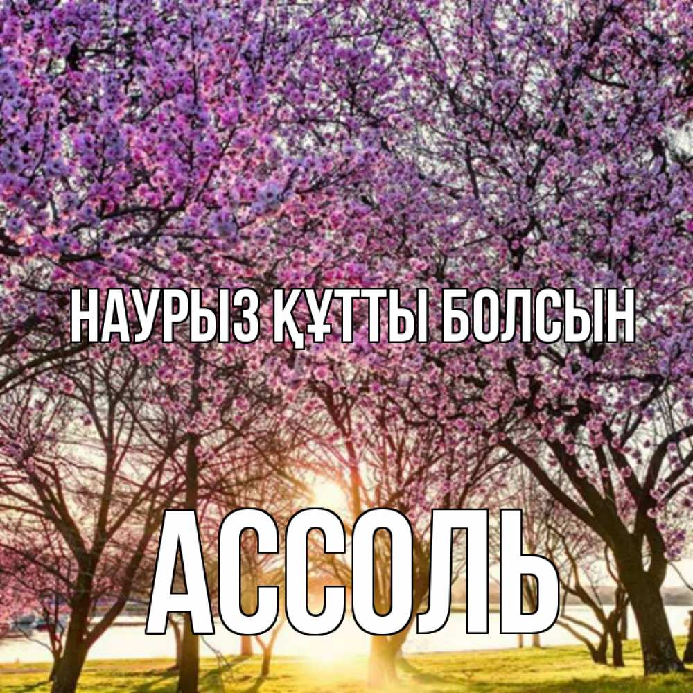 Открытка на каждый день с именем, Ассоль Наурыз құтты болсын наурыз Прикольная открытка с пожеланием онлайн скачать бесплатно 
