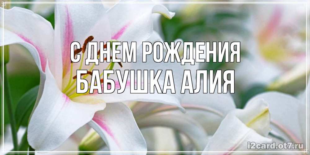 Открытка на каждый день с именем, Бабушка-Алия С днем рождения открытка с белой лилией Прикольная открытка с пожеланием онлайн скачать бесплатно 