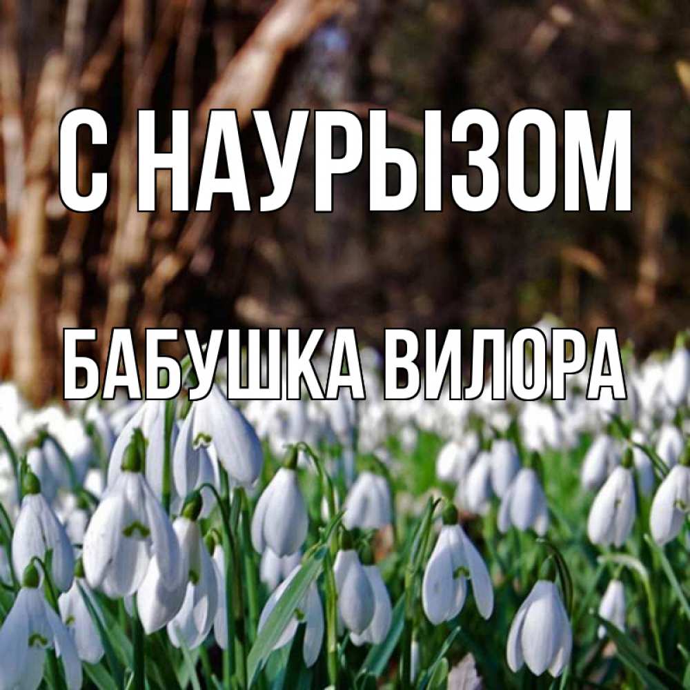 Открытка на каждый день с именем, Бабушка-Вилора С наурызом с подснежниками 1 Прикольная открытка с пожеланием онлайн скачать бесплатно 