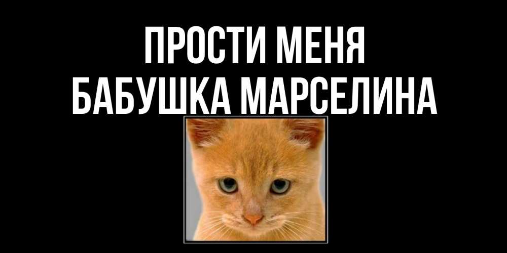 Открытка на каждый день с именем, Бабушка-Марселина Прости меня рыжий грустный кот просит прощения Прикольная открытка с пожеланием онлайн скачать бесплатно 